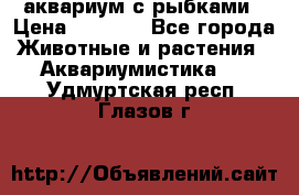 аквариум с рыбками › Цена ­ 1 000 - Все города Животные и растения » Аквариумистика   . Удмуртская респ.,Глазов г.